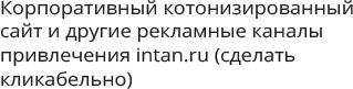 Корпоративный котонизированный сайт и другие рекламные каналы привлечения intan.ru (сделать кликабельно)